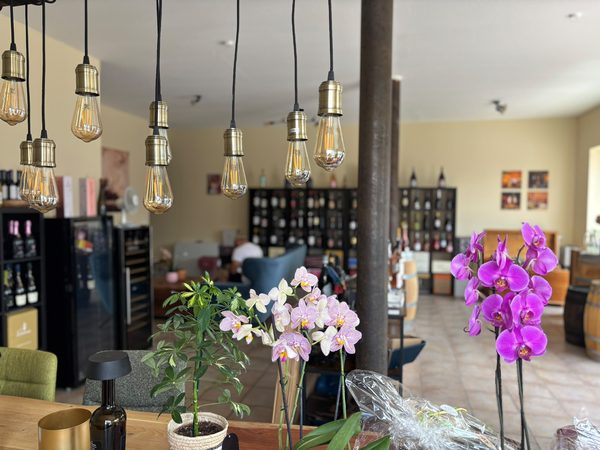 Edison-Glühbirnen an einem Holzbalken über Orchideen